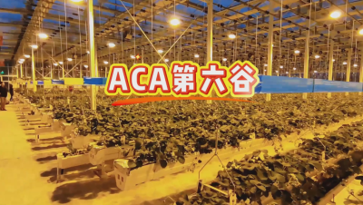#ACA第六谷 模式，打造#ACA作物工厂，规划建园到栽培种植水肥管理一站式服务！#可控农业 #华维集团