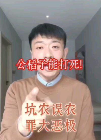 公稻子可以打死？纯属误农！