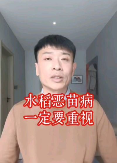 水稻恶苗病发生原因及预防！