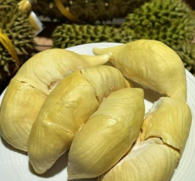 泰国甲仑榴莲
浓香满口，丝滑如奶油
甜甜糯糯，榴莲味浓郁
谁让它是泰国榴莲界的元