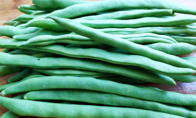 [采购/收购]四季豆&nbsp;10000斤
采购意向地：&nbsp;面向全国
送货地区：&nbsp;四川成都