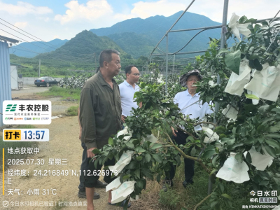 邓老师带队考察开发泰国红宝石基地。