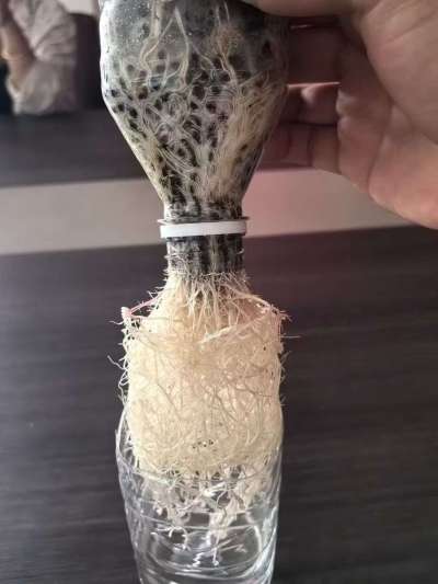 年销售量三十万吨的有机肥生产厂家，全国网点发货，资质齐全，正品保障！有机肥、生物菌肥、微生物肥料等