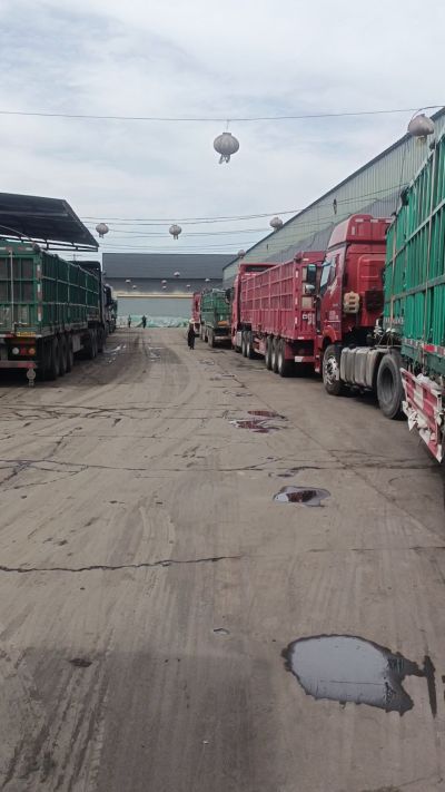 发酵 鸡粪，发酵羊粪 有机肥 微生物肥 微生物菌肥 微生物菌剂 每天出货量1500多吨，都是老客户介绍新微生物菌肥，山西马上出发，近期用肥的老板提前联系，马上到国庆节＋中秋节 一大部分物流都会放假，到