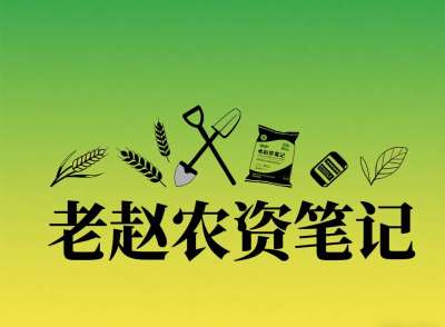 乡镇农资店对接厂家：不是否定代理，是找对&ldquo;有前景的小厂&rdquo;补增量