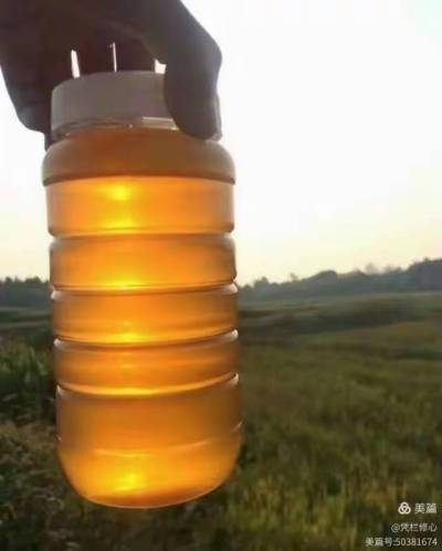 &ldquo;蜜&rdquo;源自然，臻选乡土精华。产自株洲市渌口区淦田镇成国家庭农场的纯天然中华蜂蜜，