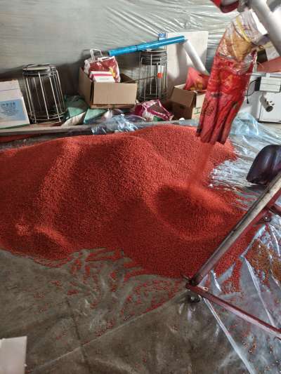 四冠包衣拌种，防虫防病壮苗增产。