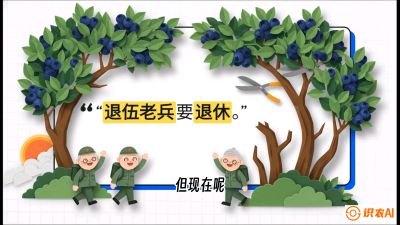 第7节：修剪决定产量（下）&mdash;&mdash;结果树的更新与疏果，课程：《蓝莓&ldquo;高产&rdquo;实战课：从选苗到丰收的10个关键点》