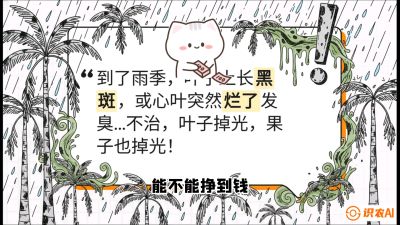 第05节：常见真菌病害&mdash;&mdash;&ldquo;炭疽与烂心，早防值千金&rdquo;《槟榔种植：从不懂到精通的10堂必修课》