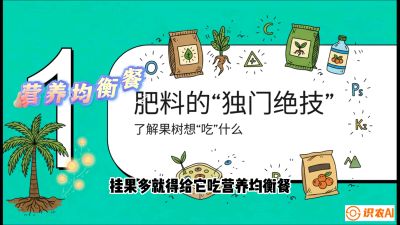 第07节：科学施肥&mdash;&mdash;&ldquo;氮磷钾配好，树壮果不倒