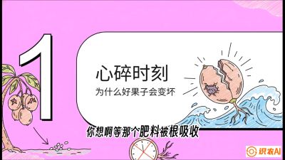 第08节：微量元素与保果&mdash;&mdash;&ldquo;补硼又补钙，果子不裂坏&rdquo;《槟榔种植：从不懂到精通的10堂必修课》