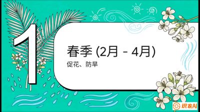 第10节：周年农事日历&mdash;&mdash;&ldquo;跟着节气走，丰产在手头&rdquo;《槟榔种植：从不懂到精通的10堂必修课》