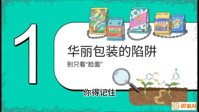 第4节：【黄金配方】底肥里的&ldquo;铁三角&rdquo;与&ldquo;微量雷区&rdquo;课程：《柑橘底肥&ldquo;翻身账&rdquo;：从改土到高产的实战全书》