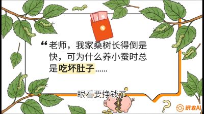 第01节：不仅仅是树&mdash;&mdash;顶级品种选配策略，课程：《桑海淘金：桑树高产与蚕桑安全进阶实战课》