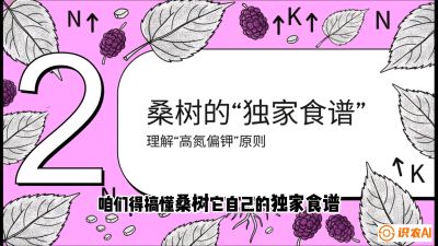 第04节：地下核动力&mdash;&mdash;桑树专用水肥一体化配方，课程：《桑海淘金：桑树高产与蚕桑安全进阶实战课》