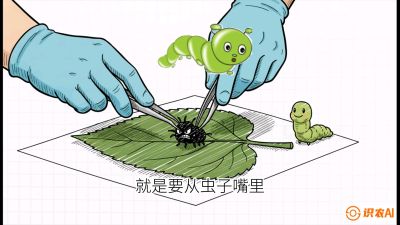 第07节：虫口夺叶（下）&mdash;&mdash;不得不打药时的&ldquo;解毒术&rdquo;，课程：《桑海淘金：桑树高产与蚕桑安全进阶实战课》