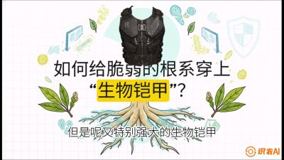 第三节：国产榴莲突围战：根系堡垒，菌根微生态构建与黄金定植窗口，课程：《国产榴莲突围战：从泰国经验到中国实操的8堂必修课（高阶实战版）》
