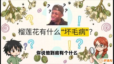 第六节：榴莲的午夜战事，夜间授粉战与花果期避雨策略，课程：《国产榴莲突围战：从泰国经验到中国实操的8堂必修课（高阶实战版）》