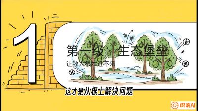 第七节：榴莲防御战：病虫害三级立体防控，疫霉菌与虫害的立体封锁线，课程：《国产榴莲突围战：从泰国经验到中国实操的8堂必修课（高阶实战版）》