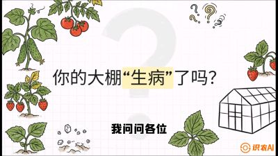 第2节（解毒篇）： 大棚里的&ldquo;红白绿&rdquo;警报&mdash;&mdash;读懂土壤盐渍化的求救信号，课程：《揭秘土壤的秘密：让土地帮你赚钱》#识农AI