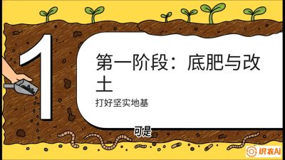 第6节（统筹篇）： 省钱又增产的&ldquo;黄金配比&rdquo;&mdash;&mdash;不同作物全年的养土实操方案，课程：《揭秘土壤的秘密：让土地帮你赚钱》#识农AI