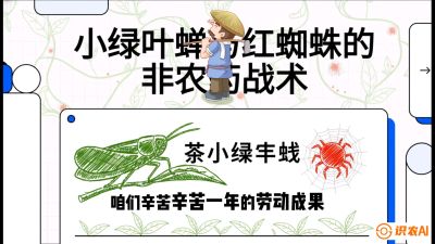 第03节（虫害篇）：看不见的吸血鬼：小绿叶蝉与红蜘蛛的&ldquo;非农药&rdquo;团灭战术（抗性治理），课程：《茶金时代：从&ldquo;看天吃饭&rdquo;到&ldquo;精准控局&rdquo;的茶叶高产提质实战课》