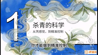 第05节（加工篇）：决胜2分钟：用&ldquo;数字温控&rdquo;破解杀青不匀，复刻大师级手工口感，课程：《茶金时代：从&ldquo;看天吃饭&rdquo;到&ldquo;精准控局&rdquo;的茶叶高产提质实战课》