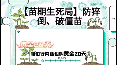 第2节：【苗期生死局】防猝倒、破僵苗，决定后期产量的&ldquo;黄金20天&rdquo;，课程：《辣椒种植实战特训营，从工业辣椒到精品小米辣，教你如何把&ldquo;草&rdquo;种成&ldquo;金&rdquo;》