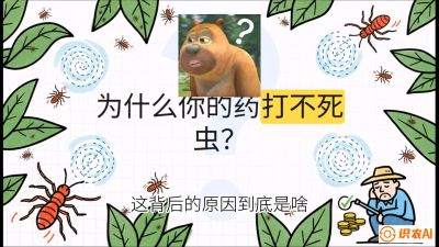 第4节：【虫害歼灭战】打不死的蓟马、隐形的茶黄螨：抗性时代的&ldquo;混配绝杀&rdquo;，课程：《辣椒种植实战特训营，从工业辣椒到精品小米辣，教你如何把&ldquo;草&rdquo;种成&ldquo;金&rdquo;》