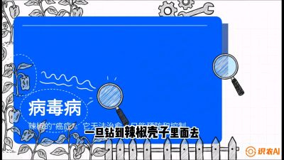 第5节：【病毒病阻击】辣椒的&ldquo;癌症&rdquo;怎么治？从&ldquo;绝收恐慌&rdquo;到&ldquo;带毒生产&rdquo;的逆转术，课程：《辣椒种植实战特训营，从工业辣椒到精品小米辣，教你如何把&ldquo;草&rdquo;种成&ldquo;金&rdquo;》