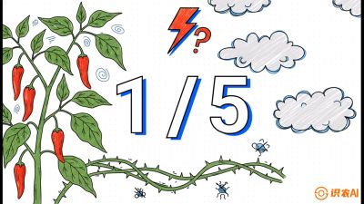 第6节：【花果爆发术】落花落果的五大元凶，与&ldquo;三喷一保&rdquo;坐果黑科技，课程：《辣椒种植实战特训营，从工业辣椒到精品小米辣，教你如何把&ldquo;草&rdquo;种成&ldquo;金&rdquo;》