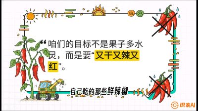 第7节：【工业辣椒专场】追求极致辣度！干物质提升与机械化采收的&ldquo;催红秘籍&rdquo;，课程：《辣椒种植实战特训营，从工业辣椒到精品小米辣，教你如何把&ldquo;草&rdquo;种成&ldquo;金&rdquo;》