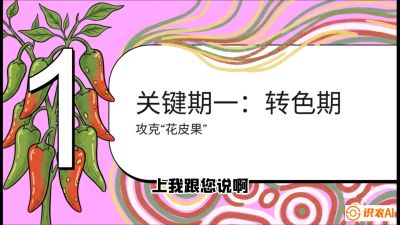 第8节：【小米辣线椒专场】颜值即正义！防花皮、防炭疽，打造收购商抢着要的&ldquo;精品果&rdquo;，课程：《辣椒种植实战特训营，从工业辣椒到精品小米辣，教你如何把&ldquo;草&rdquo;种成&ldquo;金&rdquo;》