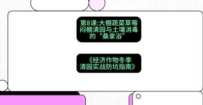 第8节：【大棚蔬菜草莓】闷棚清园与土壤消毒的&ldquo;桑拿浴&rdquo;，课程：《经济作物冬季清园&middot;实战防坑指南》#识农AI