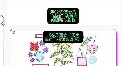 第02节：百合的&ldquo;癌症&rdquo;&mdash;&mdash;病毒病的阻断与急救，课程：《卷丹百合&ldquo;无病高产&rdquo;植保实战课》#识农AI