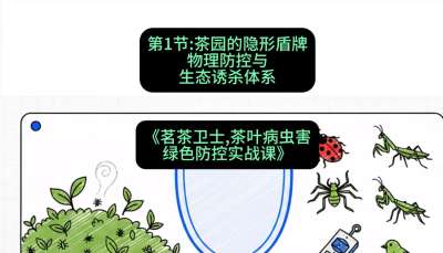 第01节：茶园的&ldquo;隐形盾牌&rdquo;&mdash;&mdash;物理防控与生态诱杀体系，课程：《茗茶卫士&mdash;&mdash;茶叶病虫害绿色防控实战课》#识农AI