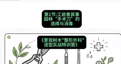 第01节：工欲善其事&mdash;&mdash;园林&ldquo;手术刀&rdquo;的选择与消毒，课程：《景观树木&ldquo;整形外科&rdquo;造型实战特训营》#识农AI