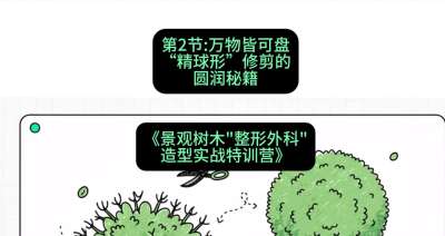 第02节：万物皆可盘&mdash;&mdash;&ldquo;精球形&rdquo;修剪的圆润秘籍，课程：《景观树木&ldquo;整形外科&rdquo;造型实战特训营》#识农AI
