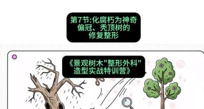 第07节：化腐朽为神奇&mdash;&mdash;偏冠、秃顶树的修复整形，课程：《景观树木&ldquo;整形外科&rdquo;造型实战特训营》#识农AI