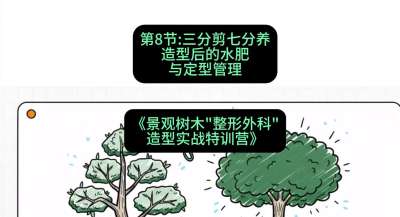 第08节：三分剪七分养&mdash;&mdash;造型后的水肥与定型管理，课程：《景观树木&ldquo;整形外科&rdquo;造型实战特训营》#识农AI