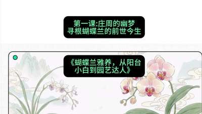 第一节：庄周的幽梦：寻根蝴蝶兰的前世今生，课程：《蝴蝶兰雅养六讲：从阳台小白到园艺达人》#识农AI