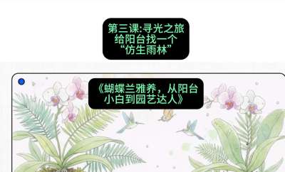 第三节：寻光之旅：给阳台找一个&ldquo;仿生雨林&rdquo;，课程：《蝴蝶兰雅养六讲：从阳台小白到园艺达人》#识农AI