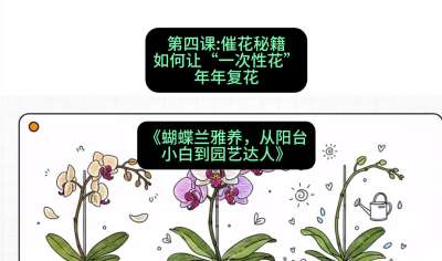 第四节：催花秘籍：如何让&ldquo;一次性花&rdquo;年年复花，课程：《蝴蝶兰雅养六讲：从阳台小白到园艺达人》#识农AI