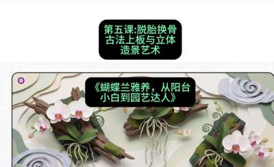 第五节：脱胎换骨：古法上板与立体造景艺术，课程：《蝴蝶兰雅养六讲：从阳台小白到园艺达人》#识农AI