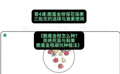 第4节：脆蜜金柑保花保果：三批花的选择与激素使用，课程：《脆蜜金柑怎么种？拒绝死苗与裂果，脆蜜金柑8步避坑种植法》#识农AI