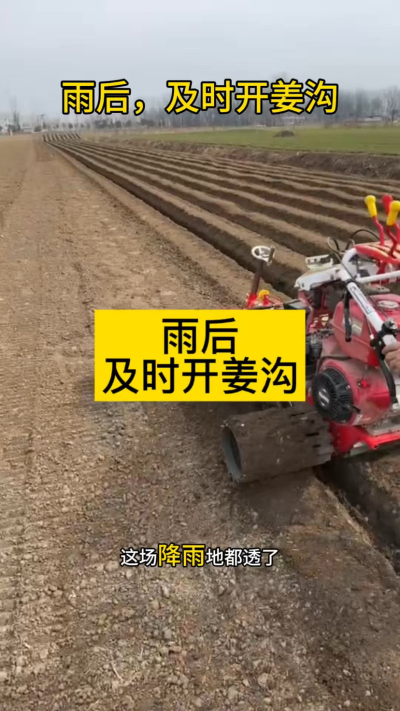 雨后，及时开姜沟！