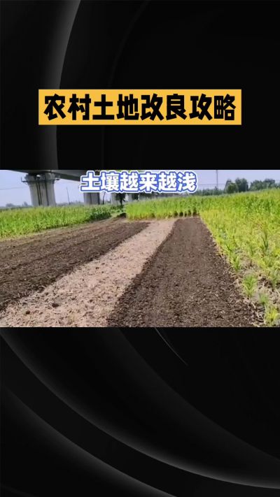 1. 先搞懂：你到底要改良哪块地、种什么
 
- 土土土在哪里？
就是你自家农田、菜地、果园，哪块地想种庄稼，就测哪块地的土。
​
- 有水没有水？
有水能浇：改良更省事，施肥、调酸碱都好操作。
没水