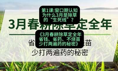 第1节：窗口期认知，为什么3月是除草的&ldquo;生死线&rdquo;？，课程：《3月春耕除草定全年：省钱、省药、不烧苗、少打两遍药的秘密》