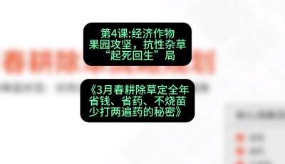 第4节：经济作物果园攻坚，抗性杂草&ldquo;起死回生&rdquo;局，课程：《3月春耕除草定全年：省钱、省药、不烧苗、少打两遍药的秘密》